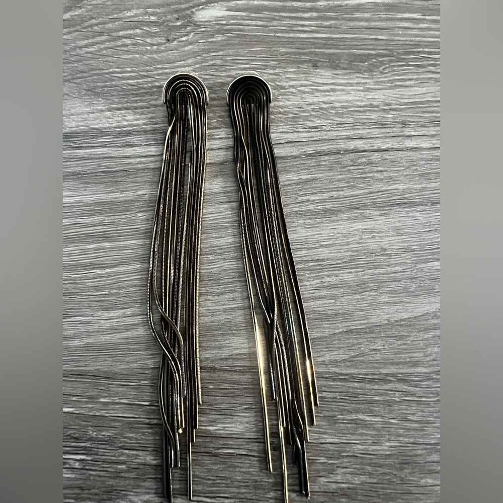 Express  Earrings